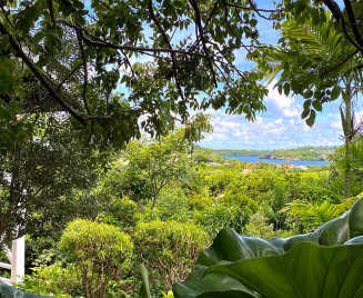 Cottage Cap Est Martinique vue mer
