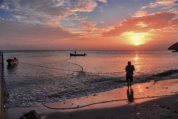 La meilleure saison pour votre voyage - Martinique